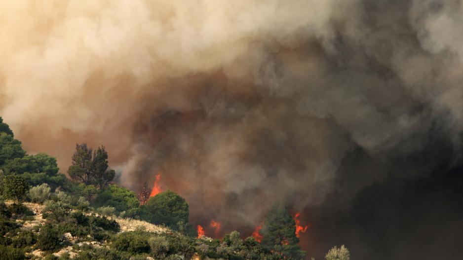 Μικρογραφία