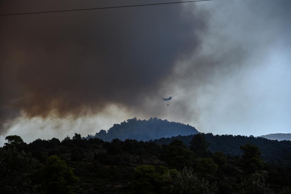 Μικρογραφία